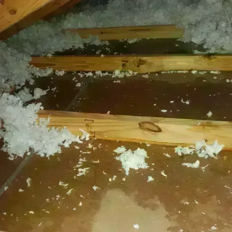 Attic Water Damage in Bosque County, TX